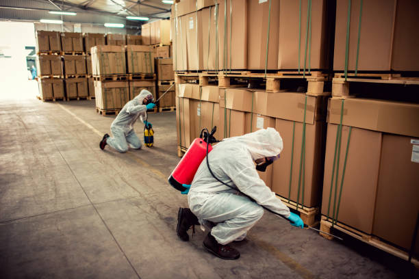 Best Pest Control Near Me  in Springfield, MA