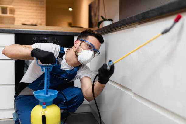 Reliable Springfield, MA Pest Control Solutions