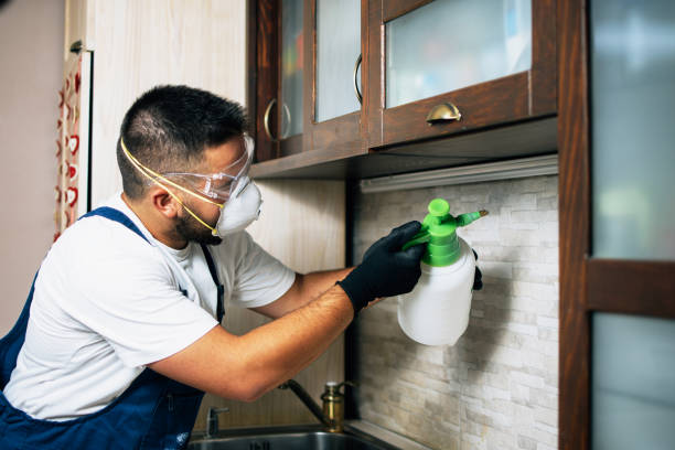 Best Mosquito Control Services  in Springfield, MA