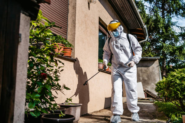 Best Affordable Pest Control Services  in Springfield, MA