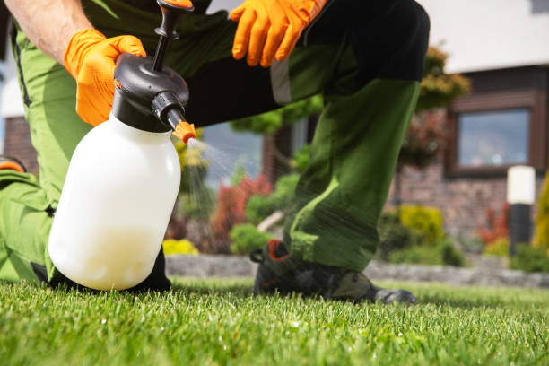  Springfield, MA Pest Control Pros