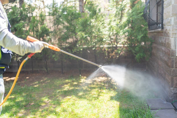 Best Local Pest Control Services  in Springfield, MA