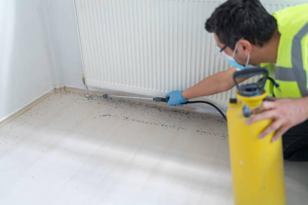 Best Best Pest Control Companies  in Springfield, MA